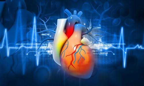 Cardiac Profile